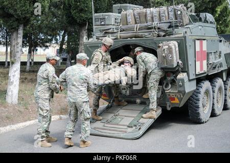 With support from the Georgian Armed Forces and local host nation medical personnel, the 3rd Squadron, 2d Cavalry Regiment medical team conducted a ground medical evacuation rehearsal from Role 1 to Role 3 care at the Vaziani Training Area, Georgia, July 31, 2018. A Stryker medical evacuation vehicle moved the simulated patient from the training area to a Georgian Role II facility where he was assessed and further transported for care in Tbilisi. This training was conducted as part of Noble Partner 18 - a Georgian Armed Forces and U.S. Army Europe cooperatively-led exercise in its fourth itera Stock Photo