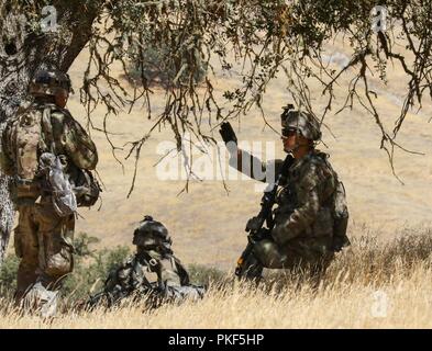 Soldiers with 1st Battalion, 186th Infantry Regiment, 41st Infantry Brigade Combat Team secure the landing zone during air assault training August 3, 2018  during a field training exercise known as eXportable Combat Training Capability (XCTC) at Camp Roberts, Calif. The exercise is a brigade-level field training exercise designed to certify platoon proficiency across the brigade in coordination with First Army. The XCTC program brings full training resource packages to National Guard and Active Duty Army bases around the country, allowing units to train on their schedule, closer to home, minim Stock Photo