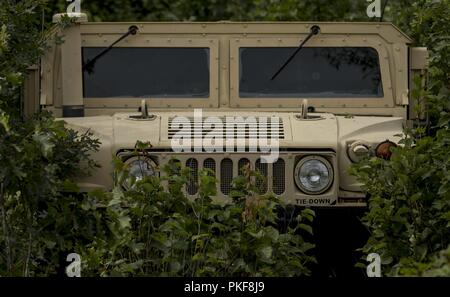 A Humvee in the woodline as U.S. Army Reserve Soldiers of the 801st Combat Support Hospital conduct lethal warrior training as part of Global Medic 2018 on Fort McCoy, Wisconsin, Aug. 7, 2018. Global Medic is a training exercise designed to ensure the Army Reserve Medical Command (ARMEDCOM) provides trained, capable and ready combat units of action to the Army and the joint force. Stock Photo