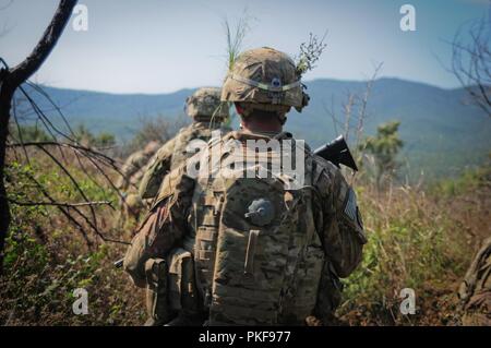 U.S. Soldiers assigned to Alpha Company, 2nd Battalion, 5th Cavalry Regiment, 1st Armored Brigade Combat Team, 1st Cavalry Division participate in Exercise Platinum Lion’s Media Day at the Novo Selo Training Range in Bulgaria, August 8, 2018. Numerous rounds were fired at targets using M2A3 Bradley Fighting Vehicles and small arms fires in support of Atlantic Resolve, an enduring training exercise between NATO and U.S. Forces. Stock Photo