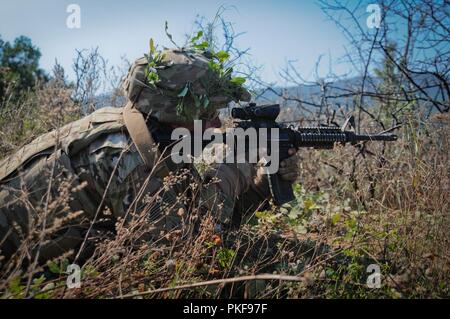 U.S. Soldiers assigned to Alpha Company, 2nd Battalion, 5th Cavalry Regiment, 1st Armored Brigade Combat Team, 1st Cavalry Division participate in Exercise Platinum Lion’s Media Day at the Novo Selo Training Range in Bulgaria, August 8, 2018. Numerous rounds were fired at targets using M2A3 Bradley Fighting Vehicles and small arms fires in support of Atlantic Resolve, an enduring training exercise between NATO and U.S. Forces. Stock Photo