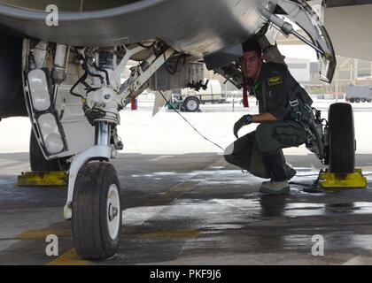 U.S. Air Force 1st Lt. Robert Lowery, a 310th Fighter Squadron F-16 Fighting Falcon student pilot, checks his landing gear before flight Aug. 8, 2018 at Luke Air Force Base, Ariz. To combat the Air Force’s fighter pilot shortage, the 310th FS runs three B-courses at one time. Running three classes, staggered, allows the 310th FS to start a new class every six months and maximize pilot production to combat the Air Force’s pilot shortage. Stock Photo