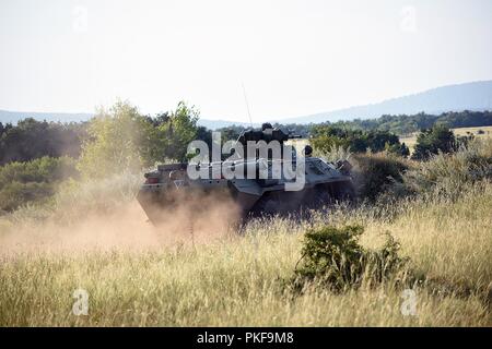 Comanche troop, 1st Squadron, Seventh Cavalry Regiment, 1st Armored Brigade Combat Team, 1st Cavalry Division qualified in crew gunnery with 11 out of 14 distinguished  Bradley crews, 3 out of 5 distinguished tank crews. The practice to  control different platforms and Soldiers from Hungary and the US were  developed and refined to execute a great event. Stock Photo