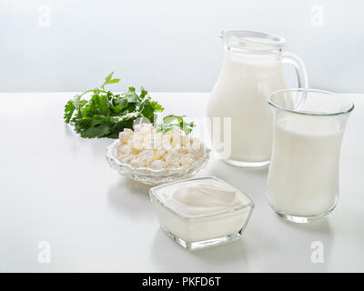 Milk in a jug, milk in a mug, sour cream in a plate, cottage cheese in a plate, coriander stand on a white background Stock Photo