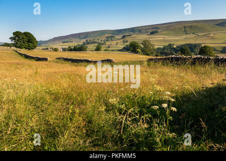 UK, Yorkshire, Wharfedale, Grassington, traditional hay meadow looking towards Burnsall Fell Stock Photo