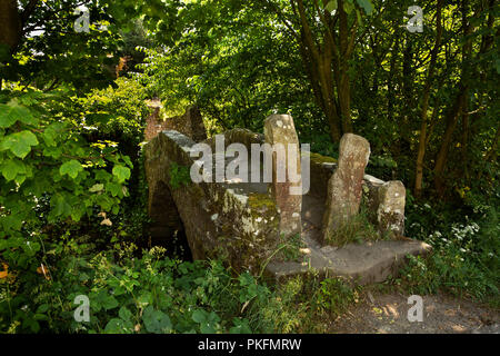 UK, Yorkshire, Wharfedale, Linton Falls, ancient stone packhorse bridge across Captain Beck Stock Photo