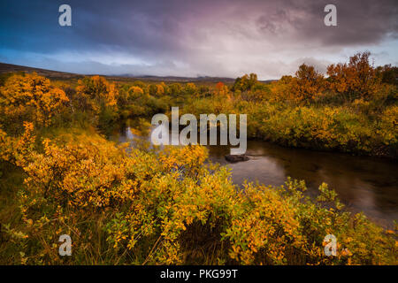 Dovre, Norway, September 13th, 2018. Autumn colors at Fokstumyra nature reserve, Dovre, Norway. Credit: Oyvind Martinsen/ Alamy Live News Stock Photo