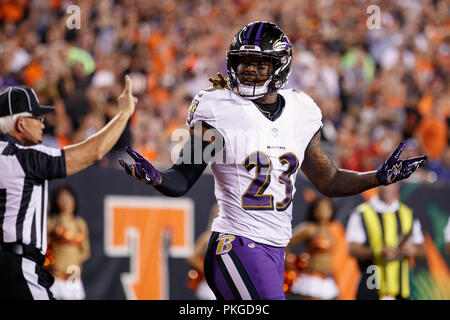 Bengals ravens hi-res stock photography and images - Alamy