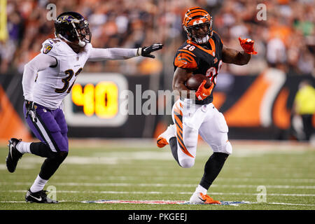 Eric weddle hi-res stock photography and images - Alamy