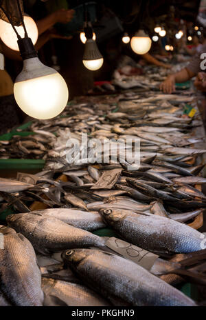 Fish Market, Asian Fish Market, Fish sale in poor lighting, little province market place, dead, Philippines, Cebu, local lifestyle, local market Stock Photo