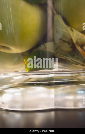 green fresh apples floats in the glass bowl Stock Photo