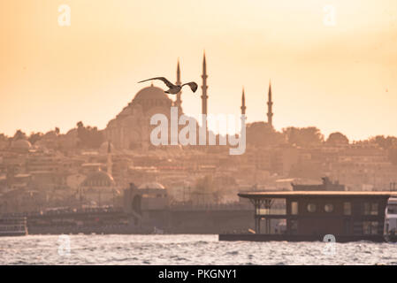 Galata Bridge and Suleymaniye Mosque in the Fatih district at Golden Horn River before sunset, Istanbul, Turkey. Travel concept and Sea front landscap Stock Photo