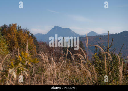 Autumn landscape with misty mountains behind mixed forest in bright sunny weather in the Alps. Stock Photo