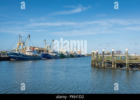 Oudeschild harbor  with docked fishing boats, Friday 16 February 2018, Texel, the Netherlands. Stock Photo