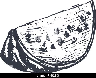 Watermelon slice. Hand drawn sketch in grunge style Stock Vector