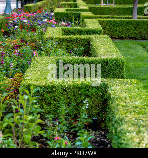 Rectangular hedge and flowers in a park Stock Photo