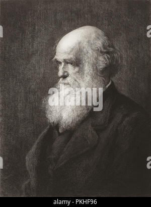 Charles Robert Darwin, 1809 – 1882.  English naturalist and writer.  From an engraving by Paul Adolphe Rajon, after Walter William Ouless. Stock Photo