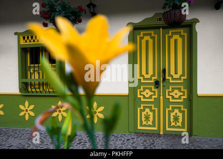 A yellow flower is seen growing in front of a brightly painted colonial house in Jericó, a village in the coffee region (Zona cafetera) of Colombia, 2 Stock Photo