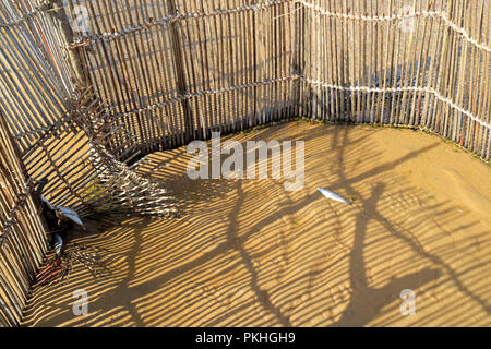 Thonga Fish Traps in Kosi Bay — Big Skies