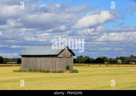 Grey wooden barn in harvested field in early autumn, with background agricultural scenery of blue sky, clouds and another barn. Ostrobothnia, Finland. Stock Photo