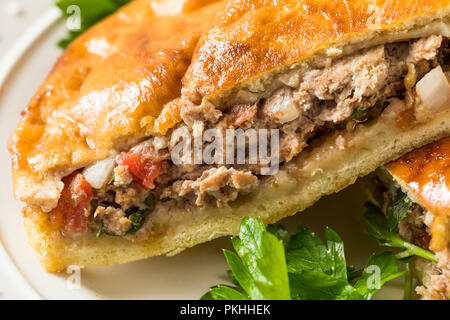 Homemade Lamb and Tomato Arayes Pita with Hummus Stock Photo