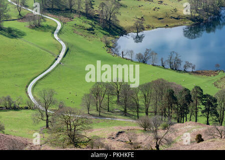 Winding road through green field with sheep and blue reflecting pond in english countryside, Lake district Stock Photo