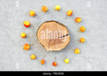 https://l450v.alamy.com/450v/pkhkx6/apple-tree-stump-with-copy-space-surrounded-by-a-circle-of-colorful-cherry-apples-on-concrete-background-pkhkx6.jpg