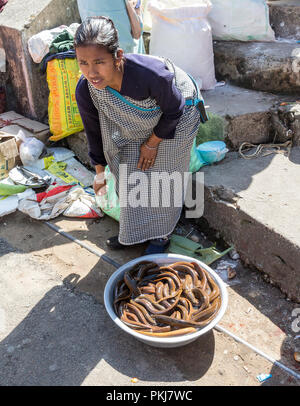 Woman selling live eels at market, Mawsynram, Meghalaya, India Stock Photo