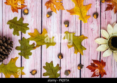 Fun fall background with scattered acorns and maple leaves. Sunflower and pine cone on pink wooden background Stock Photo