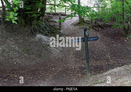 Bridleway and ridgeway sign on Coombe Hill in the Chiltern Hills, Buckinghamshire, England United Kingdom UK Stock Photo