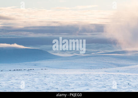 The view from Bleaklow towards Manchester and Glossop over snow covered hills and cloud inversion. Stock Photo