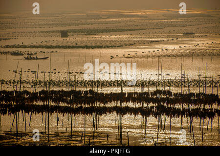 Fujian lake kasumigaura tidal flats Stock Photo