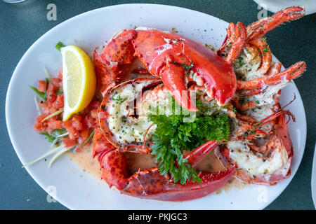 Pan roasted lobster at the Lobster Pot restaurant, Provincetown, MA, USA Stock Photo