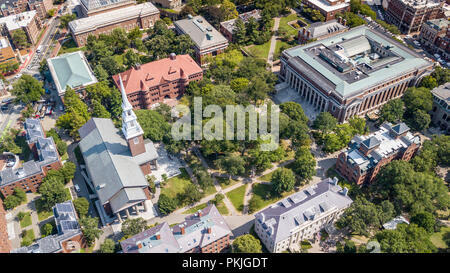 Harvard Yard, Grossman Library, Widener Library and Memorial Church, Harvard University, Boston, MA, USA Stock Photo