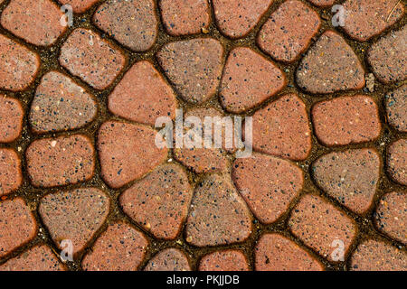 Red circular paved bricks with dirty moss and worn age Stock Photo