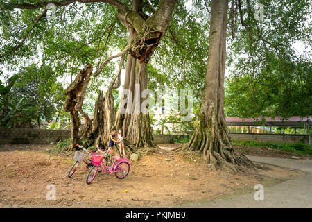 Children in the village with colorful bicycles under banyan trees in Bac Son district, Lang Son Province, Vietnam Stock Photo