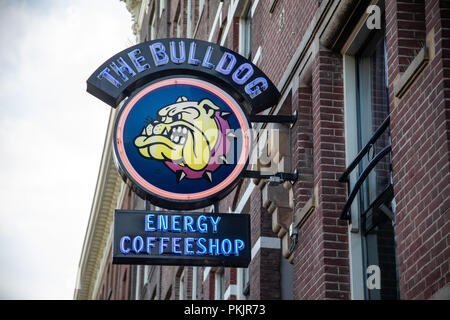 Amsterdam, Netherland - July 7, 2018: The famous coffeshop Bulldog in Amsterdam city, Netherlands Stock Photo