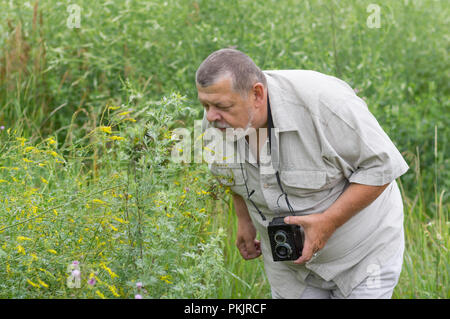 Outdoor portrait of a bearded senior man looking at wild flower before photograph it Stock Photo