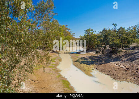 Culgoa River, merely a muddy puddle during drought, hemmed with tall trees, slicing through arid Australian outback landscape under blue sky in NSW Stock Photo