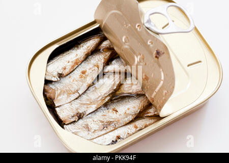 Can of sardines marinated in olive oil (sardines tin, sardines can) - USA Stock Photo