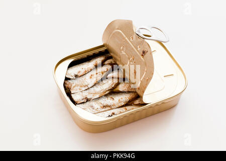 Can of sardines marinated in olive oil (sardines tin, sardines can) - USA Stock Photo