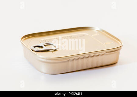Unopened sardines can (sardines tin) - USA Stock Photo