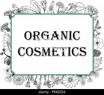 Black-and-white illustration in a frame with hand-drawn medicinal herbs for organic cosmetics. Stock Vector