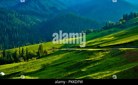 Nalati grassland in xinjiang Stock Photo