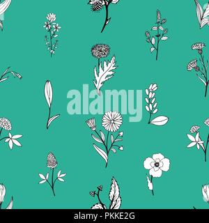 Gentle flower seamless pattern with hand-drawn medicinal herbs. Stock Vector