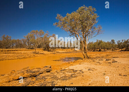 Australian outback landscape with muddy waterhole of Bulloo River surrounded by barren red soil and low trees during drought in Queensland Stock Photo