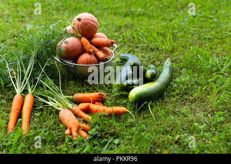 Close-up of freshly harvested organic pumpkins, zucchinis and carrots laying on grass. Stock Photo