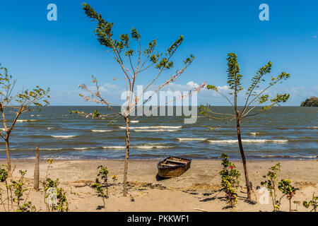 A typical view in Ometepe in Nicaragua Stock Photo