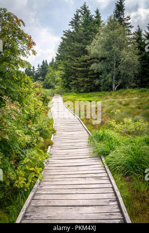 wooden boardwalk through the highmoor on mountain Hornisgrinde in Baden Wuerttemberg Stock Photo
