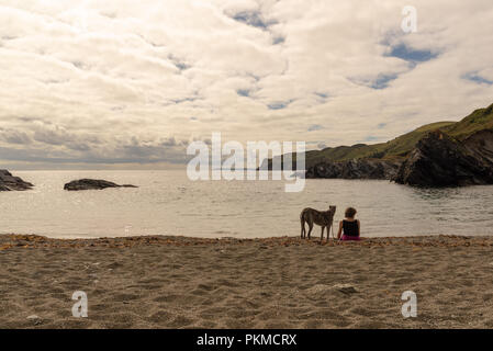 Woman sat with a greyhound dog on a small beach at Lantivet Bay, Cornwall, England, UK Stock Photo